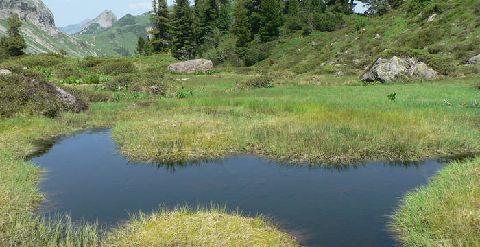 Muertschen Moor Schutzgebiet