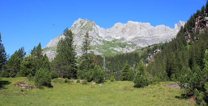 Mürtschenalp Schutzgebiet