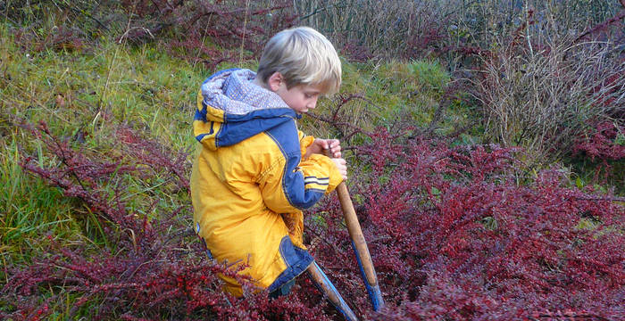 Naturschutzeinsatz