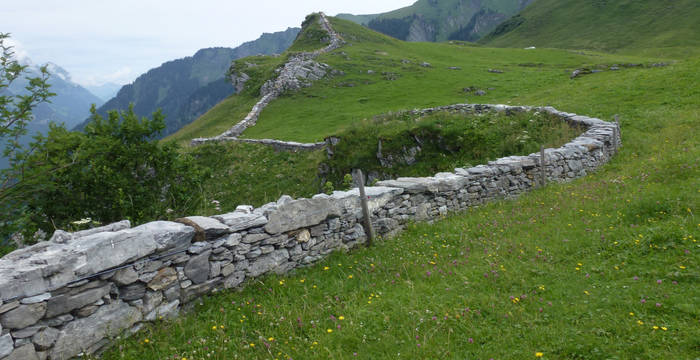 Trockenmauer Baumgartenalp Projekt