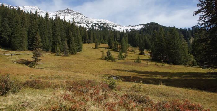 Moor Weissenberge