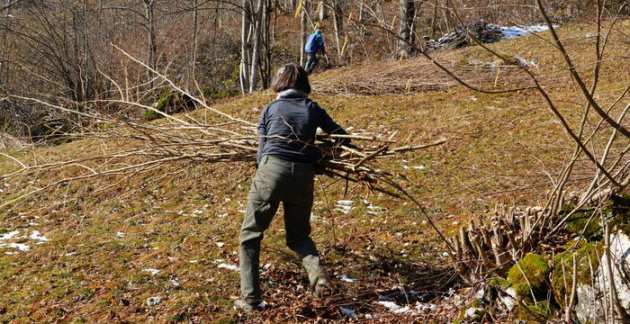 Im Einsatz für die Natur