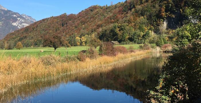 Tankgraben in Näfels