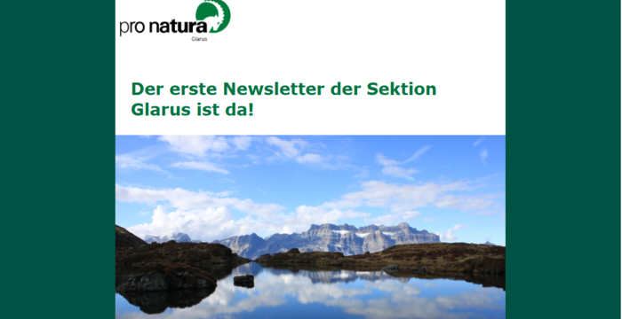 unser erster Newsletter