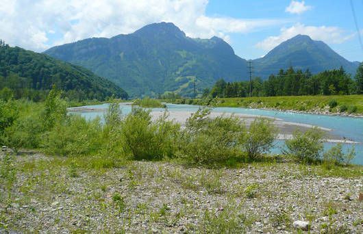 Aufweitung der Linth im Chli Gäsitschachen