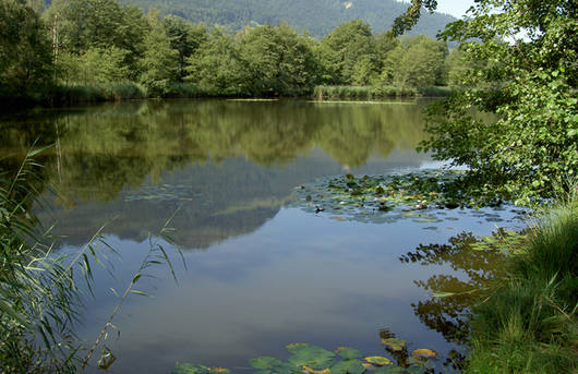 Niederriet, Moorstichsee