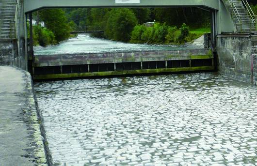 Wehr Unterbrechung Fischwanderung