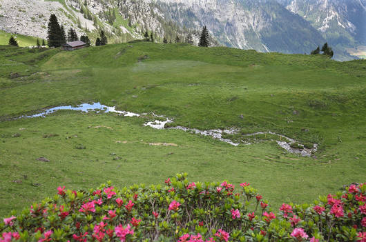 Quellen in den Alpgebieten sind besonders gefährdet Foto: Jan Ryser