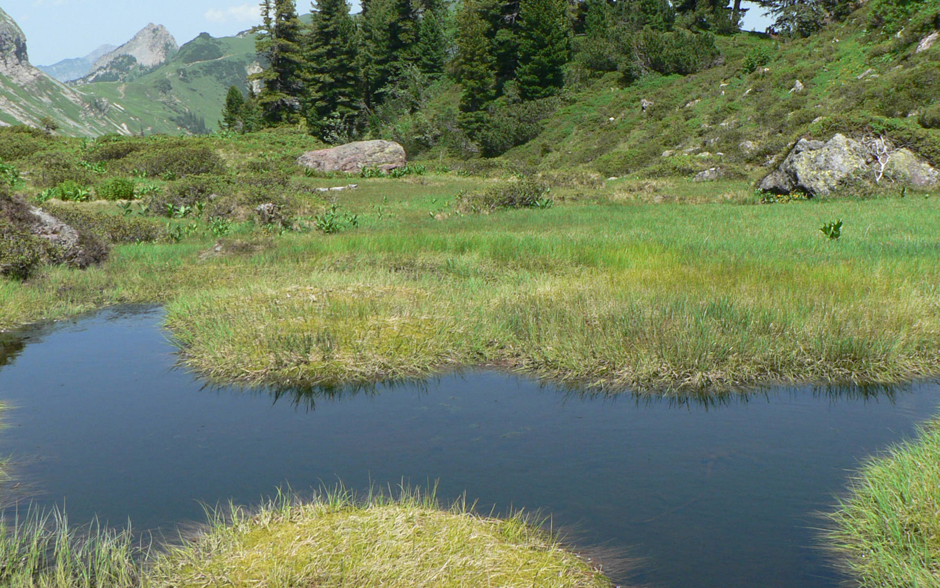 Muertschen Moor Schutzgebiet