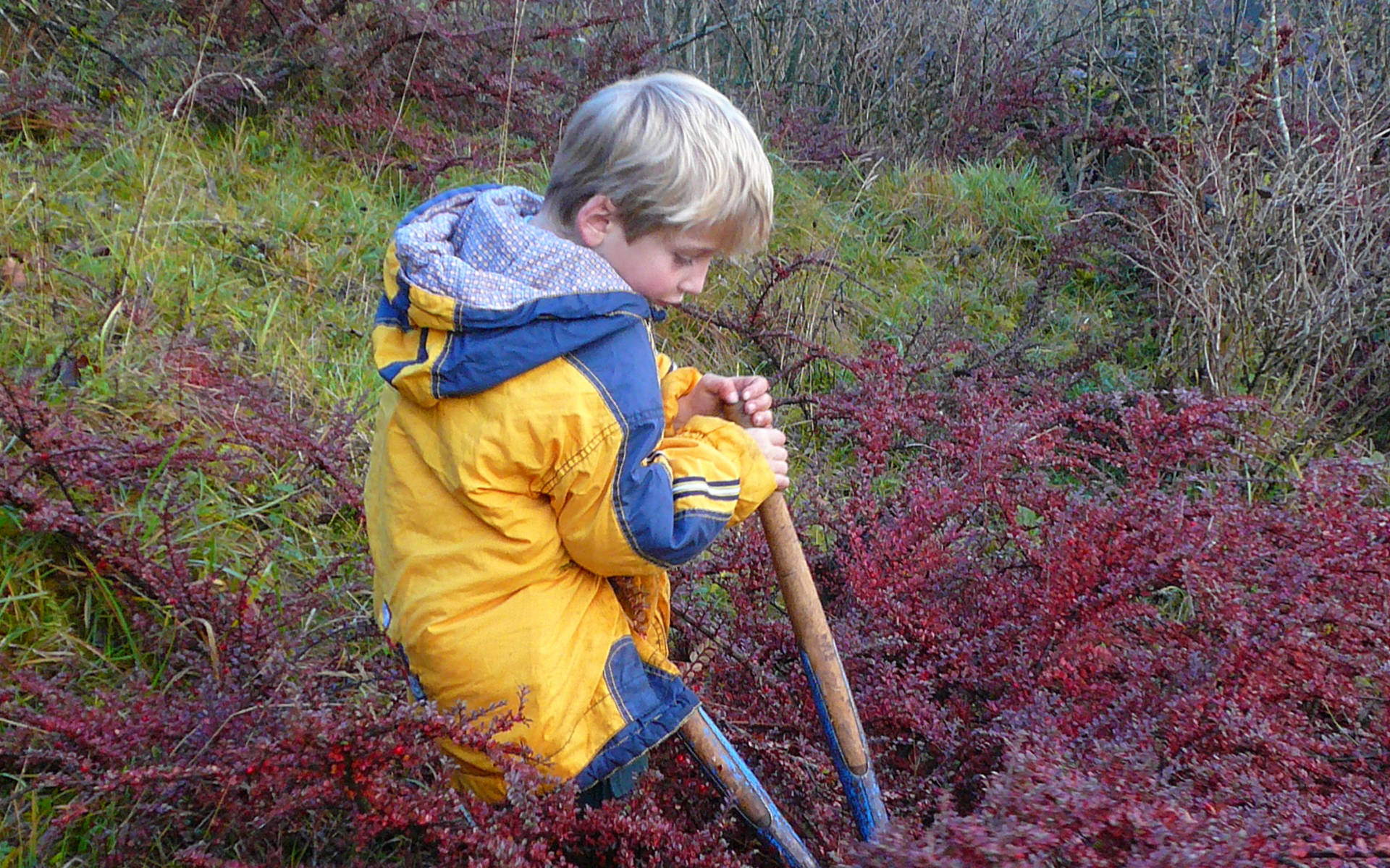 Naturschutzeinsatz