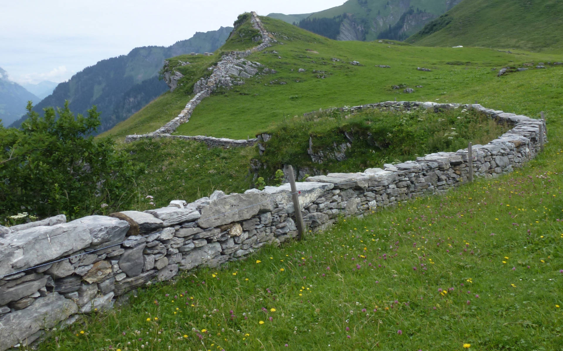 Trockenmauer Baumgartenalp Projekt