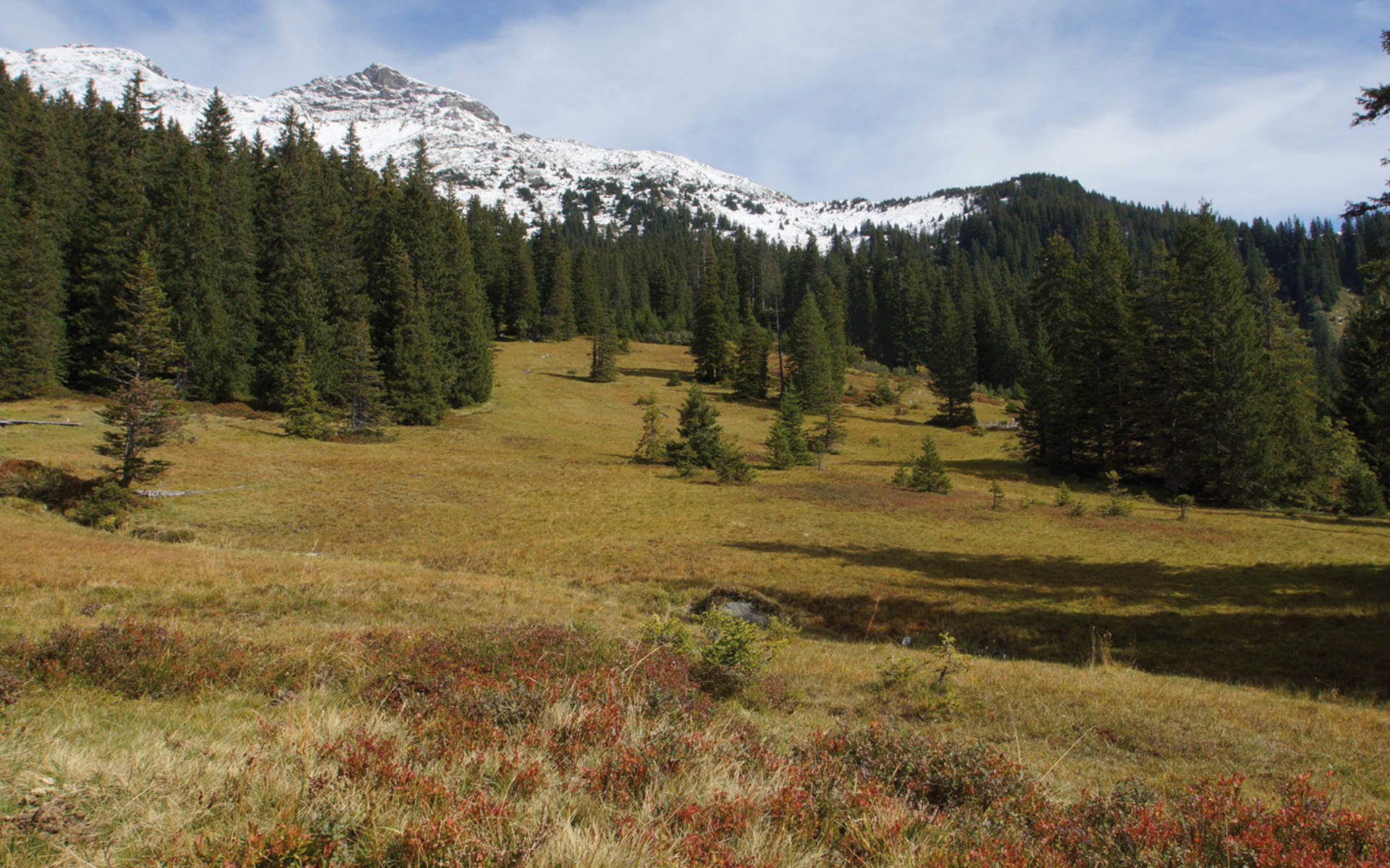 Moor Weissenberge