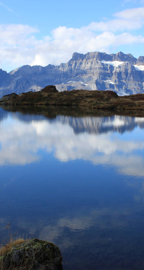 Fessissee