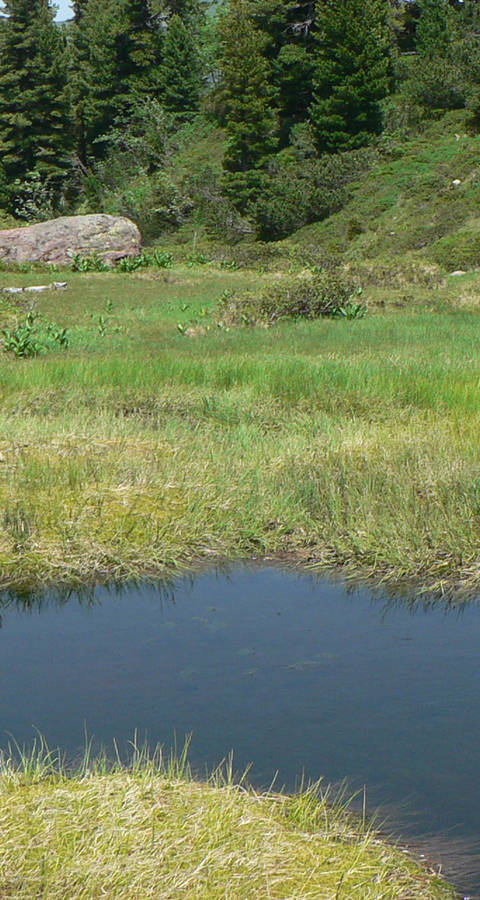 Muertschen Moor Schutzgebiet