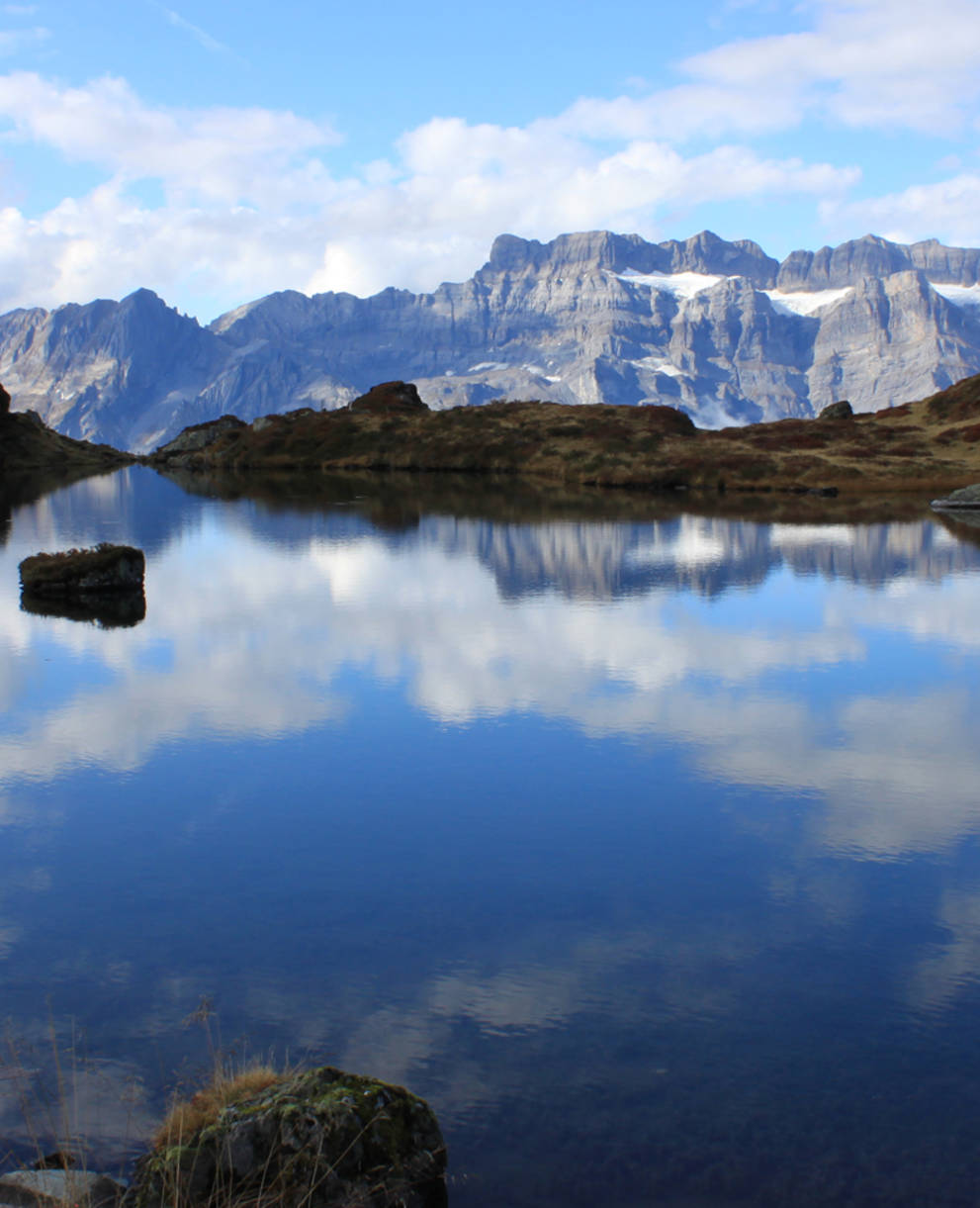 Fessissee