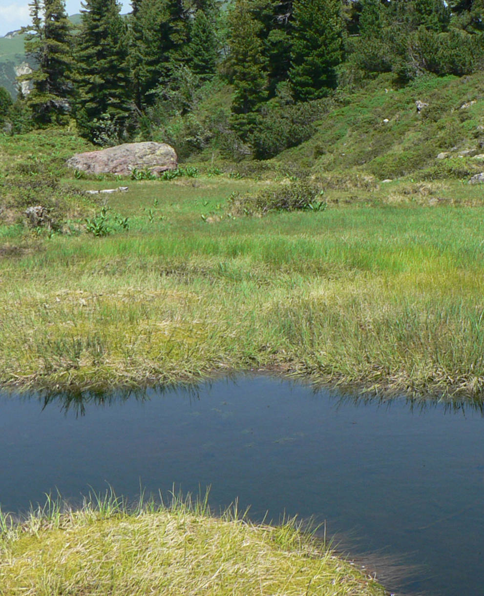 Muertschen Moor Schutzgebiet