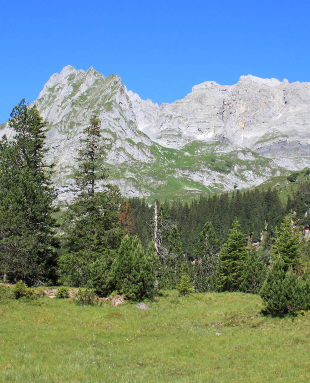 Mürtschenalp Schutzgebiet