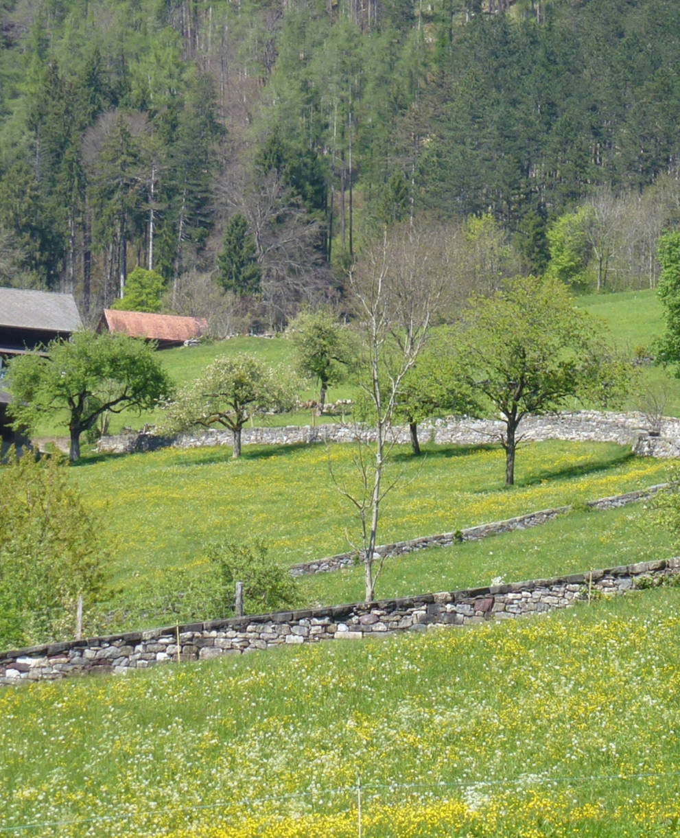 Trockenmauern Projekt