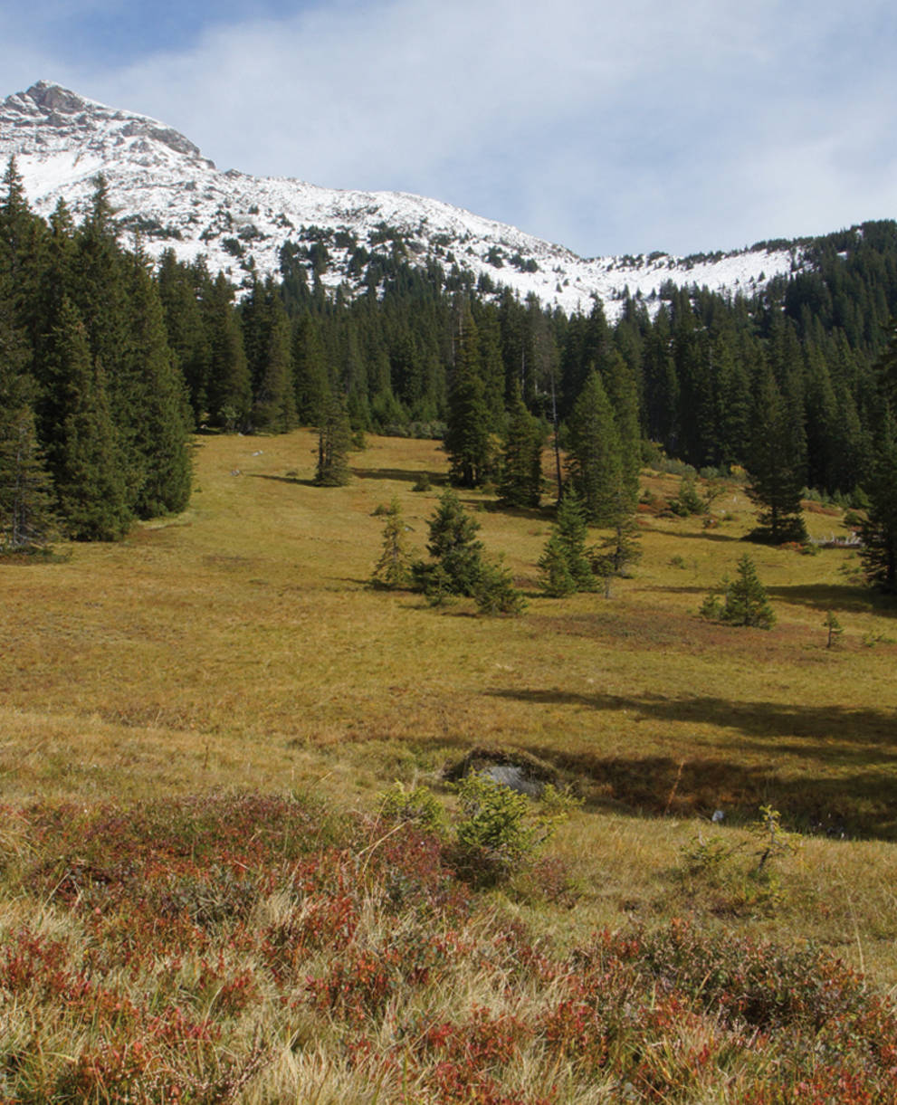 Moor Weissenberge