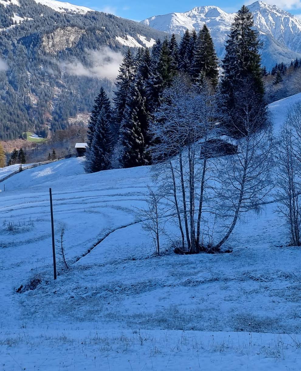 Rückzugsstreifen_Winter