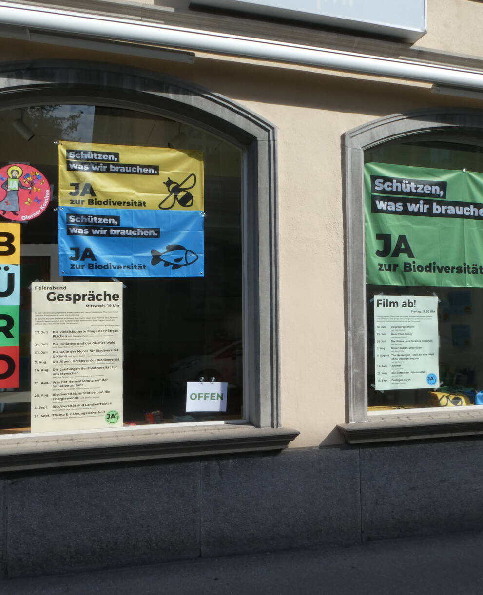 Kampagnenbüro