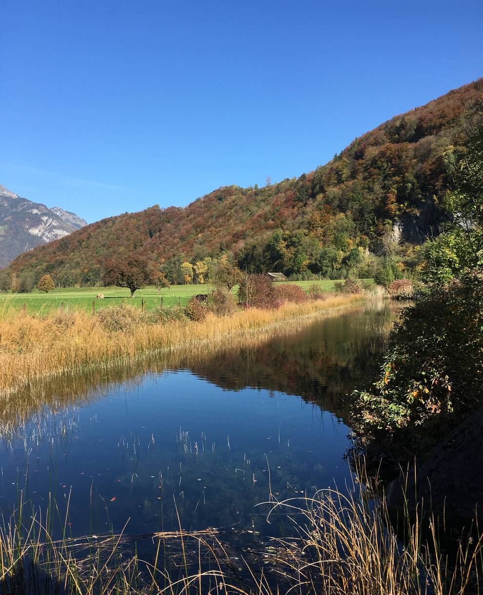 Tankgraben in Näfels