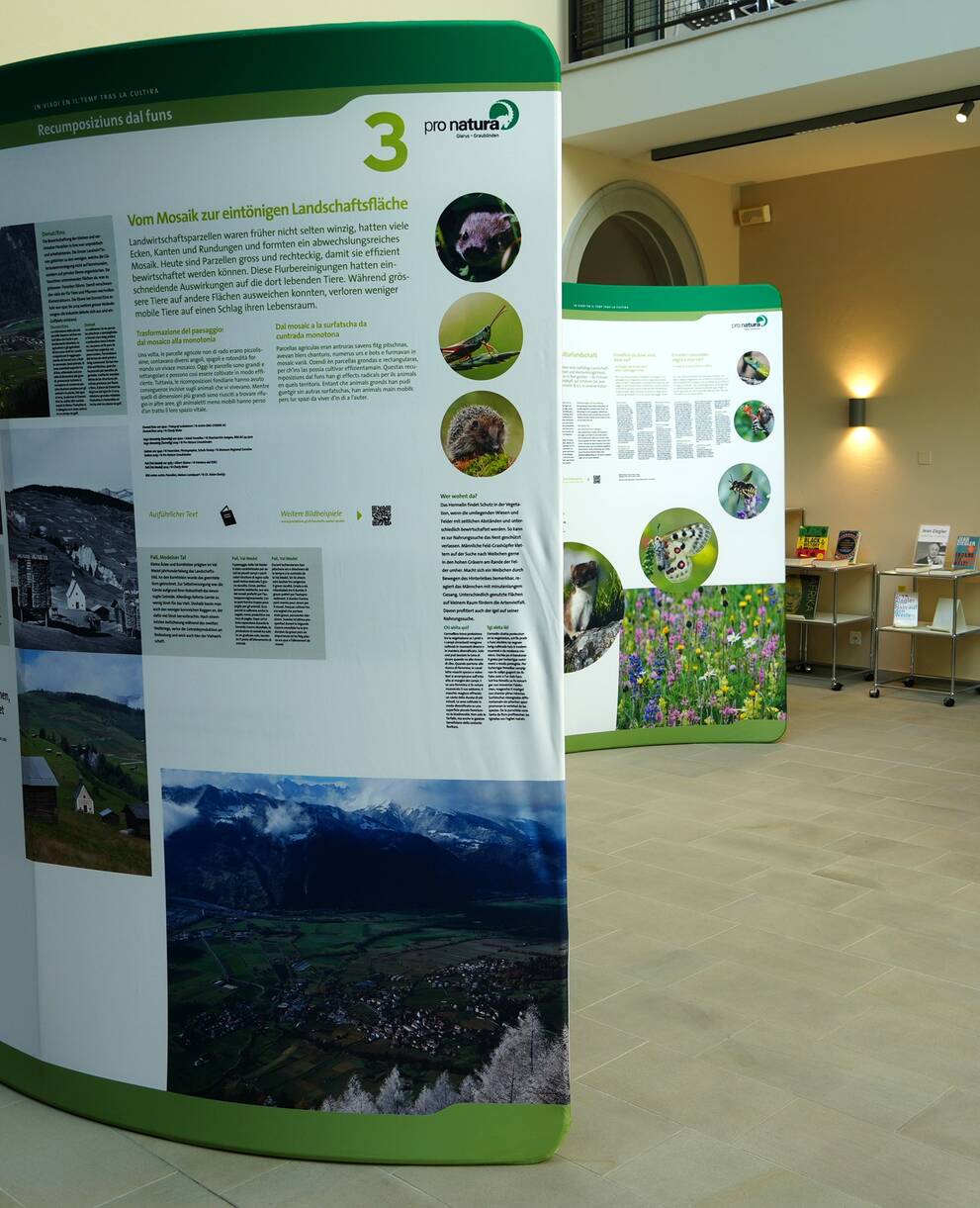 Ausstellung in der Landesbibliothek