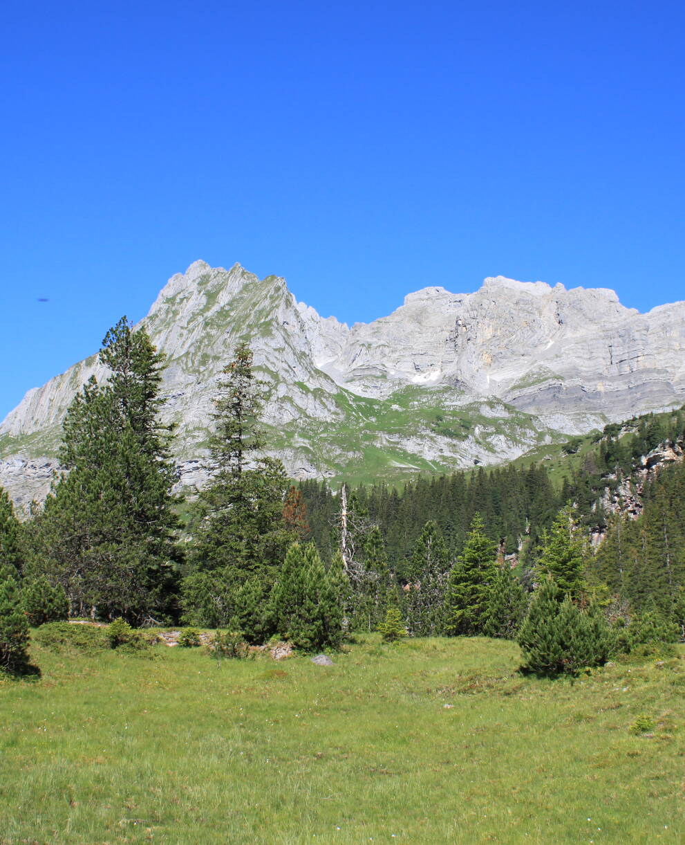 Das Mürtschental - ein Glarner Kleinod