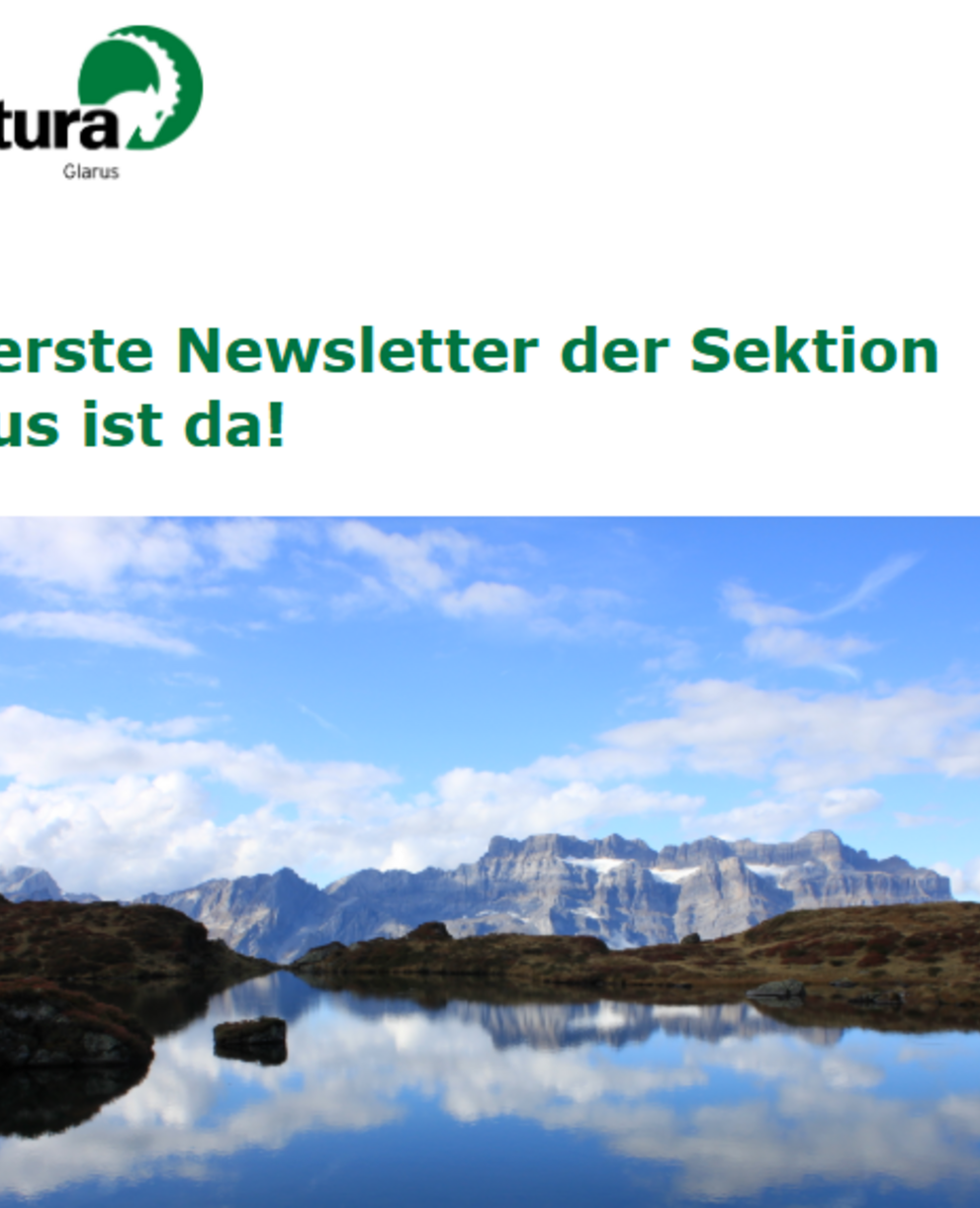 unser erster Newsletter